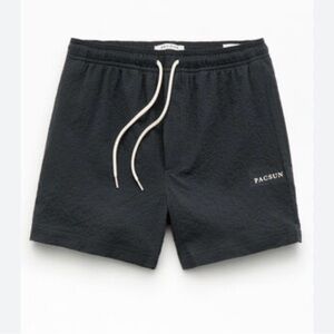 Pacsun men’s dark gray swim Shorts size L